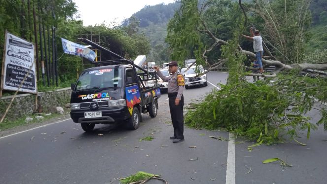 
					Polsek Leles Evakuasi Pohon Tumbang