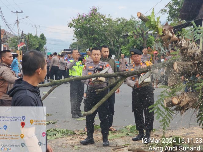 
					Polres Garut Evakuasi Pohon Tumbang