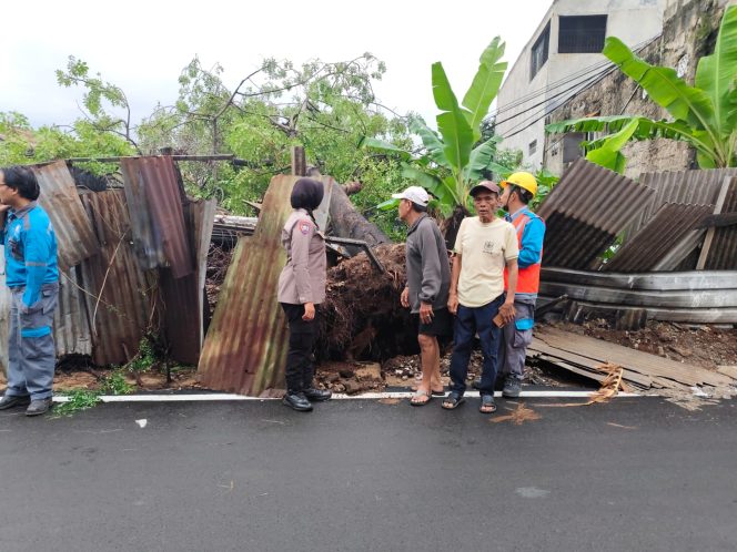 
					Pohon Tumbang Akibat Hujan Deras, Bhabinkamtibmas Pondok Cabe Ilir Tanggap Langsung ke TKP