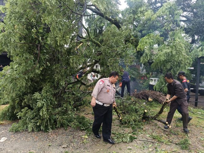 
					Bhabinkamtibmas Lengkong Gudang Timur dan Piket Lalu Lintas Evakuasi Pohon Tumbang di Jalan Suplir BSD