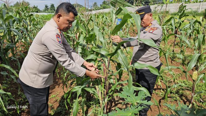 
					Dukung Ketahanan Pangan Nasional, PJU Polres Tangsel Tinjau Lahan di Beth Shalom Serpong