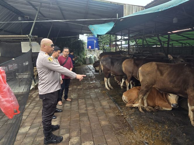 
					Jelang Idul Adha, Kapolsek Legok Tinjau Penjualan Hewan Kurban di Desa Serdang Wetan