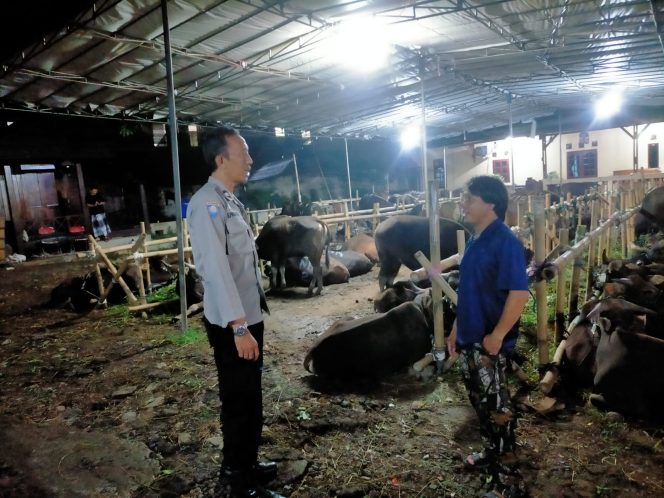 
					Cegah Pencurian Jelang Idul Adha, Bhabinkamtibmas Kelurahan Sawah Sambangi Pedagang Hewan Qurban