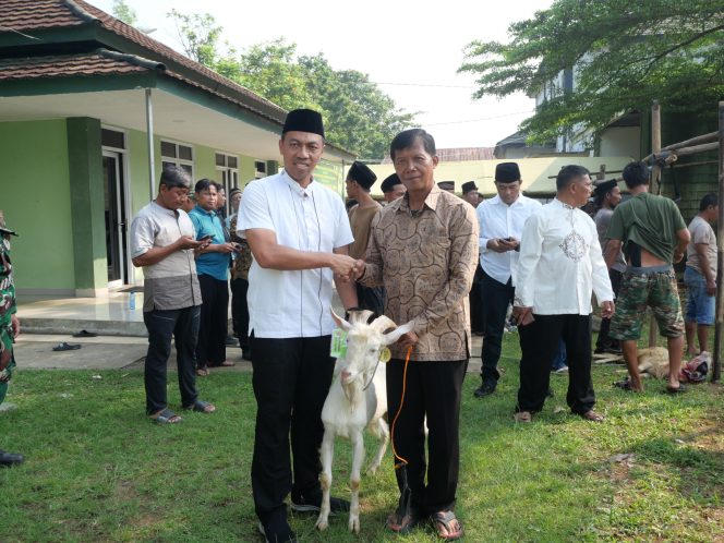 
					TNI Tebar Kepedulian, Kodim 0510/Tigaraksa Sembelih 29 Hewan Qurban