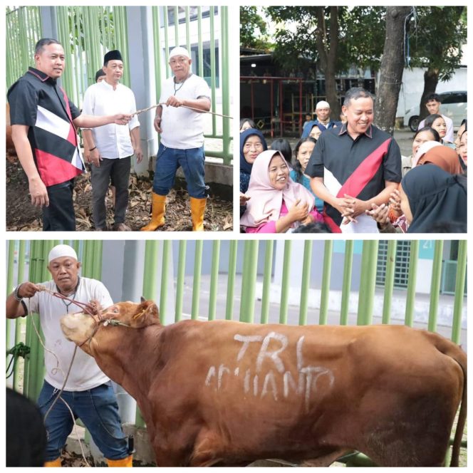 
					Semangat Kurban dan Prestasi: Wali Kota Bekasi Bagikan Sapi untuk Atlet dan Masyarakat