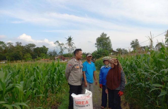 
					Dukung Ketahanan Pangan, Polsek Banyuresmi Dampingi Kelompok Tani Rawat Tanaman Jagung