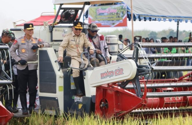
					Dukung Ketahanan Pangan, Kapolda Kalteng Bersama Gubernur Panen Raya Padi di Kapuas