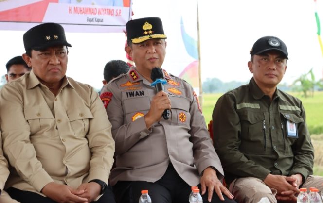 
					Dukung Ketahanan Pangan, Kapolda Kalteng Bersama Gubernur Panen Raya Padi di Kapuas