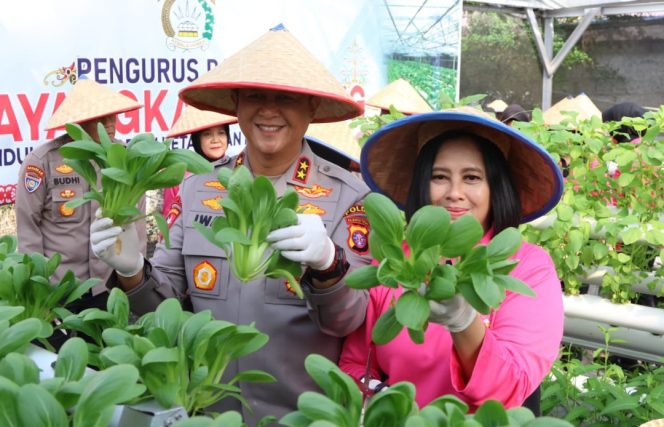 
					Dukung Ketahanan Pangan, Kapolda Kalteng Bersama Bhayangkari Panen Sayur di Lahan Pekarangan Pangan Lestari
