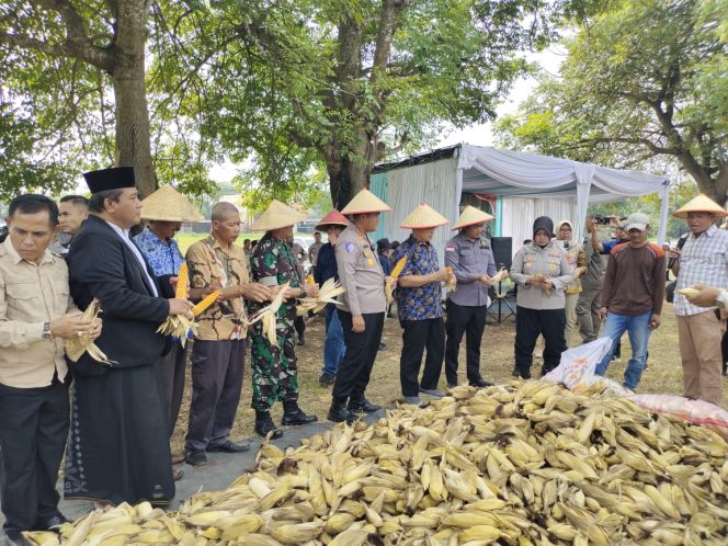 
					Danramil Sepatan Hadiri Panen Raya Jagung Serentak Kuartal III