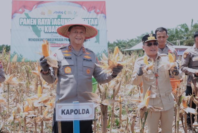 
					Dukung Ketahanan Pangan, Kapolda Kalteng Bersama Gubernur Panen Raya Jagung Kuartal III di Pulang Pisau