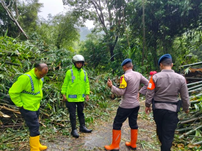 
					Tim SAR Batalyon B Pelopor Evakuasi Pohon Tumbang Akibat Cuaca Ekstrim di Lembang