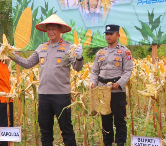 
					Dukung Ketahanan Pangan, Kapolda Kalteng Panen Raya Jagung Serentak Kuartal IV di Katingan