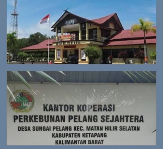 
					Abaikan Rapat Anggota, Pengurus Koperasi Pelang Sejahtera Diduga Selewengkan Dana