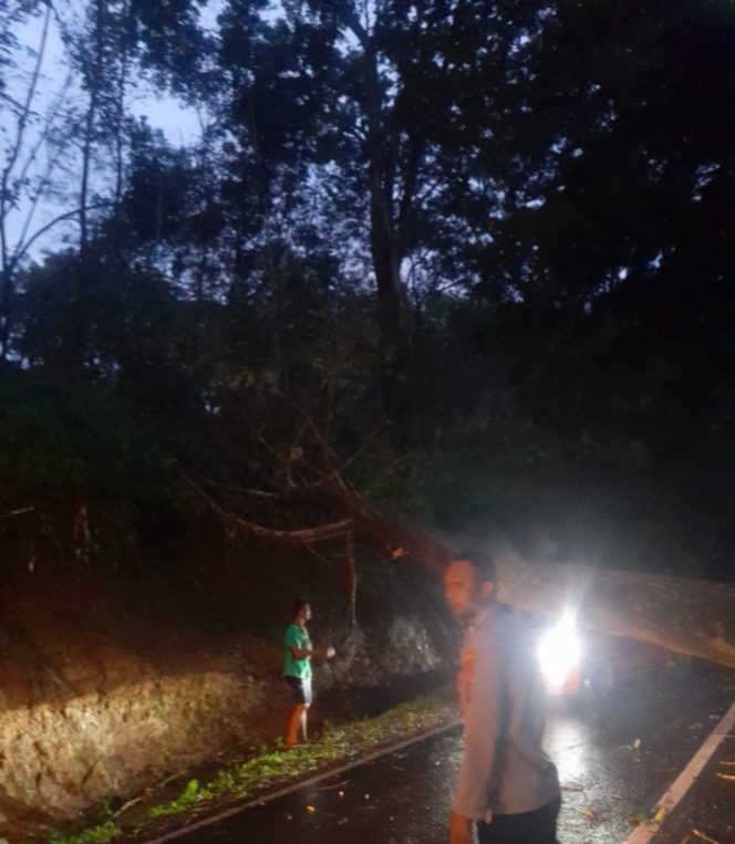 
					Polsek Cisompet Evakuasi Pohon Tumbang yang Sempat Tutup Akses Jalan