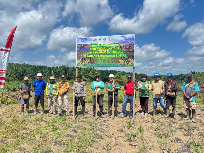 
					Polsek Marau Bersama Forkopimcam dan PT KGP Laksanakan Penanaman Jagung Hibrida Dukung Ketahanan Pangan Nasional