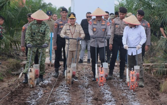 
					Wujudkan Ketahanan Pangan, Polda Kalteng Gandeng PT. MKM Tanam Jagung di Tengah Lahan Sawit