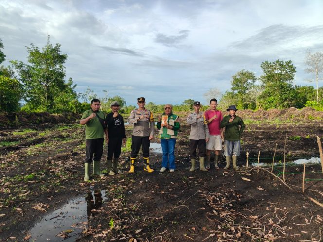 
					Polsek Matan Hilir Utara Dukung Ketahanan Pangan Nasional Melalui Penanaman Jagung Hibrida