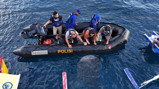 
					Dirpolairud Polda Gorontalo Dampingi Kunker Wamen Transmigrasi RI di Objek Wisata Hiu Paus Botubarani