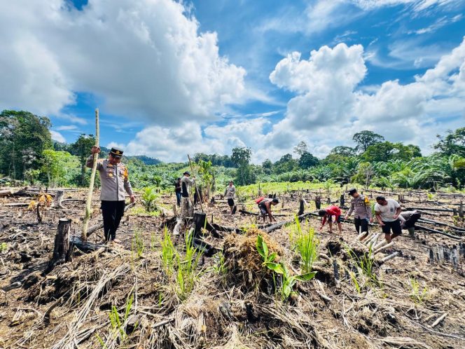 
					Kapolsek Simpang Dua Pimpin Penanaman Jagung Hibrida, Wujud Sinergitas Dukung Ketahanan Pangan Nasional