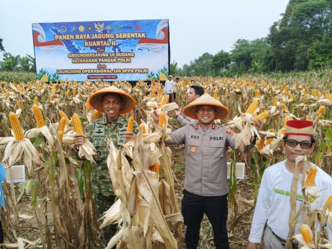 
					Kapolres Tangsel Hadiri Panen Jagung Kuartal II Polda Metro Jaya di Cisauk