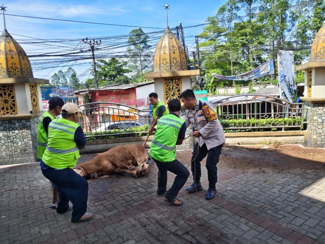 
					Bhabinkamtibmas Polsek Serpong Intensifkan KRYD dan DDS, Pastikan Hewan Kurban Idul Adha Aman dan Sehat