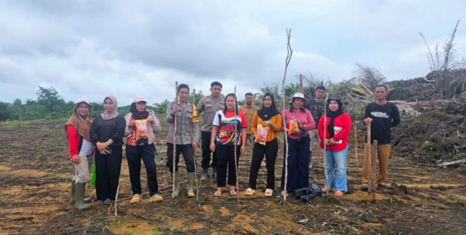
					Polsek Sandai Bersama Pemerintah Desa dan Kelompok Tani Giat Penanaman Jagung Hibrida