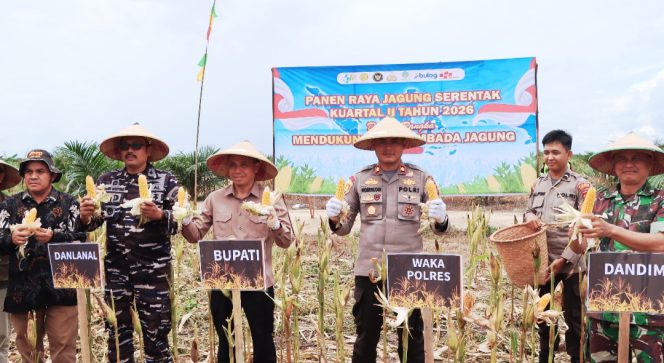 
					Polres Ketapang Bersama Forkopimda dan Kelompok Tani Laksanakan Panen Raya Jagung Serentak Kuartal II Tahun 2026 di Muara Pawan