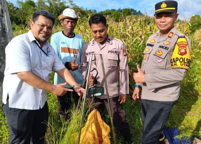 
					Kapolsek Matan Hilir Utara Bersama Tim Laksanakan Pengambilan Sampel Jagung Hibrida Jelang Panen