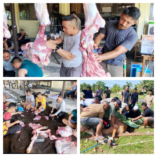
					Kompi 3 Batalyon B Pelopor Satbrimob Polda Kalteng Rayakan Idul Adha 1447 H Dengan Berqurban 4 Ekor Kambing dan 2 Ekor Sapi