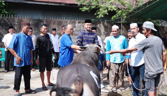 
					Polres Ketapang Serahkan 11 Ekor Sapi dan 3 Ekor Kambing Qurban di Momen Idul Adha 1447 H