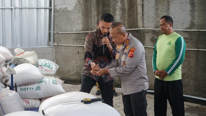 
					Kapolda Jabar Tinjau Kelompok Tani Mekar Mukti Binaan Polres Garut di Leles, Dukung Ketahanan Pangan melalui Budidaya Jagung