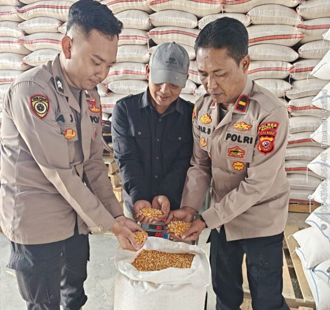
					Polri dan Petani Bersinergi, 2 Ton Jagung Banjarwangi Perkuat Cadangan Pangan Nasional