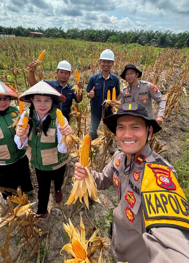 
					Sinergi Polri dan PT Sandika Nata Palma (Minamas Group) Dukung Ketahanan Pangan Nasional di Marau
