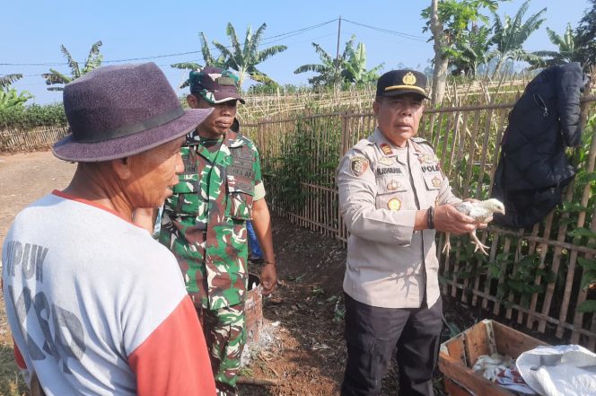 
					Polres Garut Cek TKP Kebakaran Kandang Ayam di Samarang, Diduga Akibat Korsleting Listrik