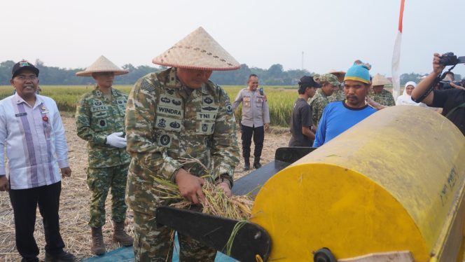
					Panen Raya TNI Serentak di Kresek, Kodim 0510/Tigaraksa Perkuat Ketahanan Pangan Nasional