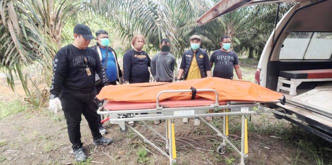 
					Pembunuh Berencana ; Seorang Wanita Terkubur di Lahan Perkebunan Sawit Diduga Sakit Hati Hingga Nyawa Melayang Di Desa Seguling 