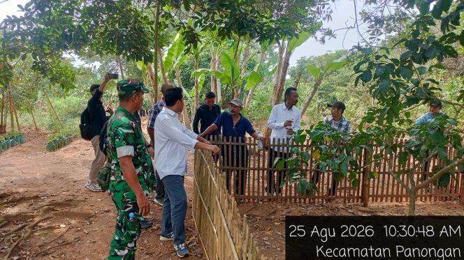 
					Babinsa Koramil 14/Panongan Dampingi Peternak Bebek Petelur, Perkuat Ketahanan Pangan di Tingkat Desa