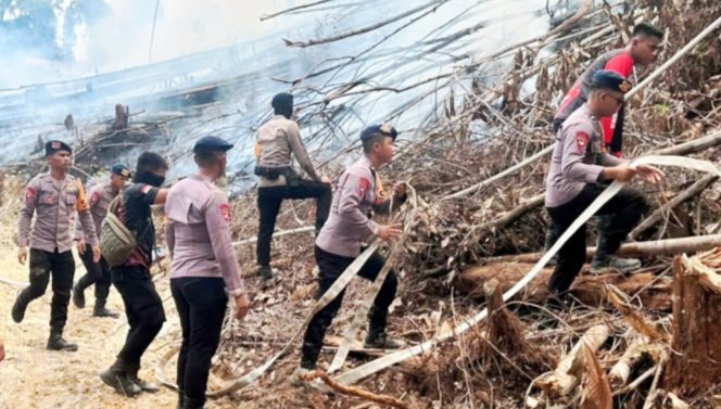 
					Respon Cepat,; Brimob Kaltara Tangani Kebakaran Hutan di Kilometer Enam Bulungan 