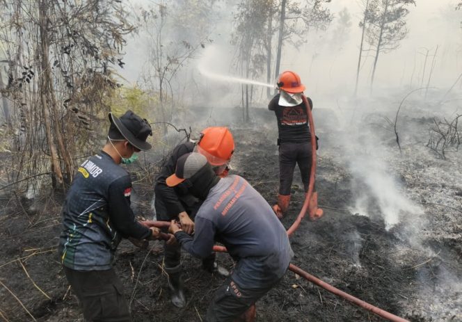 
					Bersinergi Padamkan Karhutla, Batalyon C Pelopor dan BPBD Bergerak di Bahitom
