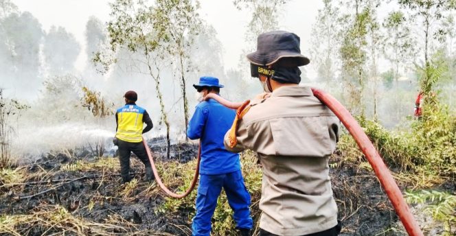 
					Satbrimob Polda Kalteng Bersama Tim Gabungan Terus Padamkan Karhutla di Sampit