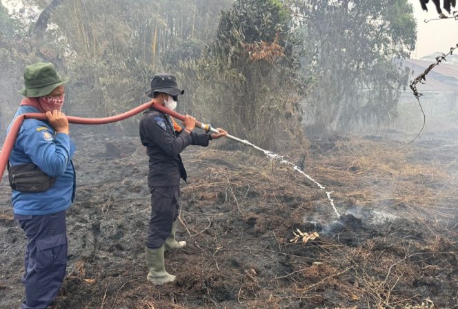 
					Gerak Cepat Brimob dan BPBD Padamkan Karhutla di Sejumlah Titik Kota Sampit