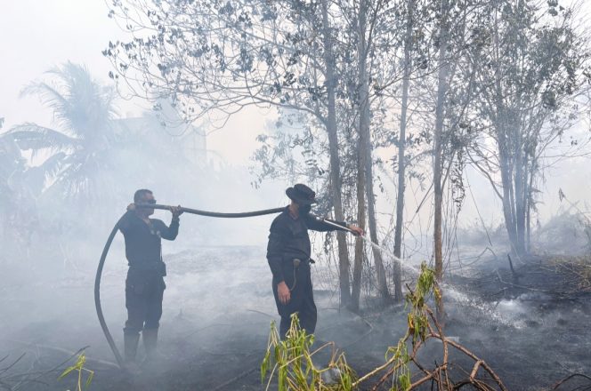 
					Dansat Brimob Polda Kalteng Pimpin Pemadaman Karhutla di Kota Palangka Raya