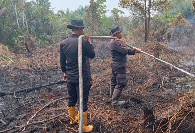 
					Respons Cepat Karhutla, Tim Bravo 6 Lakukan Pemadaman di Jalan Dulin Kandang