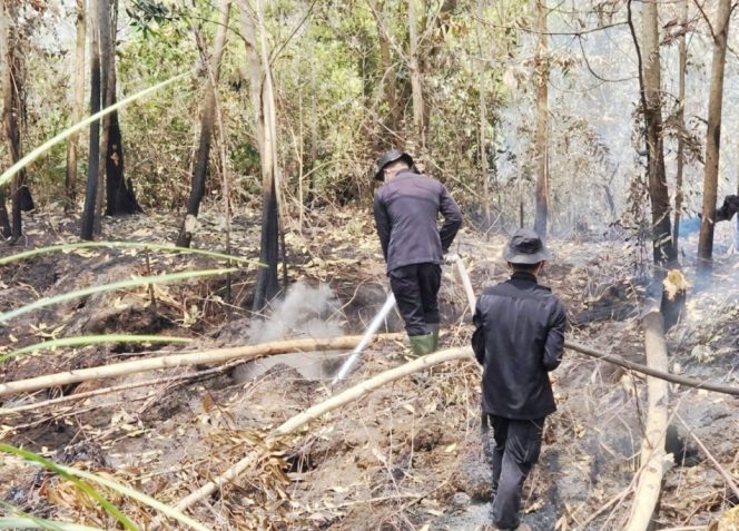 
					Cegah Api Kembali Menyala, Tim Bravo 3 Lakukan Pembasahan dan Pendinginan di Jalan Manduhara