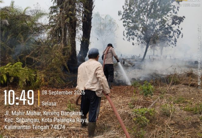 
					Brimob Kalteng Bergerak Cepat, Karhutla di Mahir Mahar Berhasil Dipadamkan