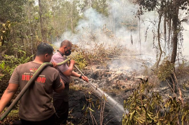 
					Sigap Hadapi Karhutla, Tim Bravo 3 Bergerak Cepat Padamkan Api di Sebangau