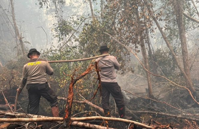 
					Pastikan Api Terkendali, Personel Satgas Karhutla Lakukan Pemadaman dan Penyisiran di Jalan Tjilik Riwut Km 23